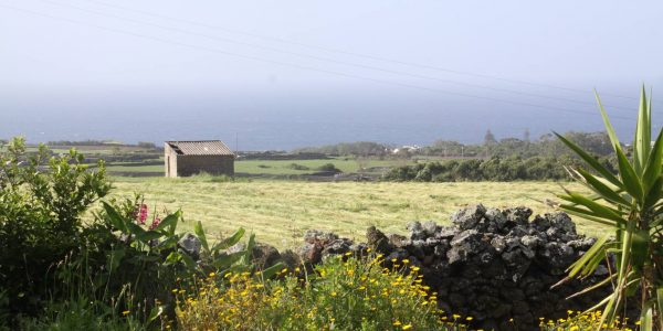 Kikis Azoren Garten Blick auf Atlantik