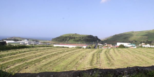 Kikis Azoren Garten Blick auf grüne Hügel