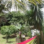 Kikis-Azoren Garten Hängematte unter Palmen