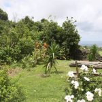 Kikis-Azoren Garten Blick auf den Atlantik