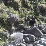 Lombadas Tal