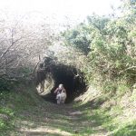 Pico Queimado