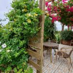 Casa Verde Terrasse