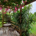 Casa Verde Terrasse