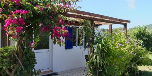 Casa Verde